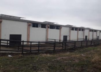 Akılalmaz  vurgun! ikinci Çiftlik Bank vakası