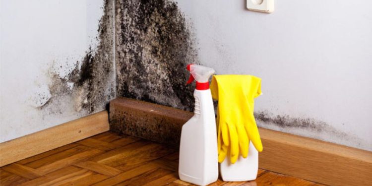 Duvarlardaki küf nasıl temizlenir?