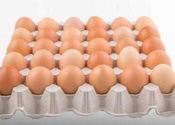 Rekabet Kurulu’ndan beş şirkete yumurta viyolü soruşturması