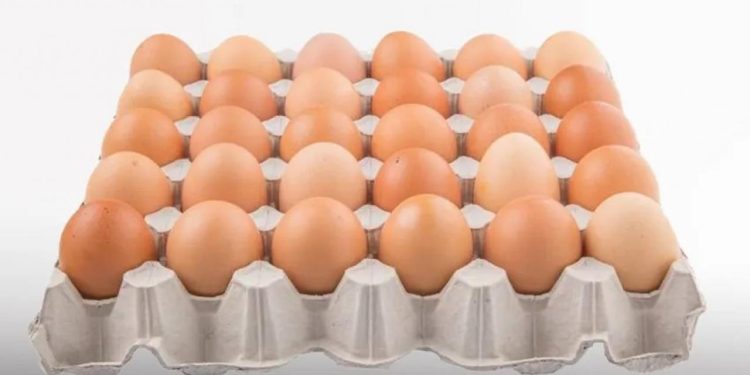 Rekabet Kurulu’ndan beş şirkete yumurta viyolü soruşturması