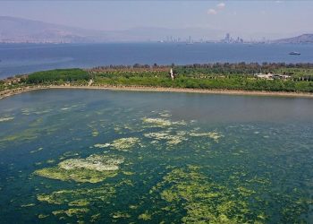 İzmir’den kötü kokular gelmeye başladı! Felaket yaşanabilir